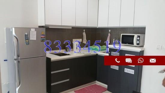 Suites @ Owen (D8), Apartment #158542182